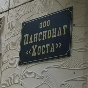 Хоста - 22