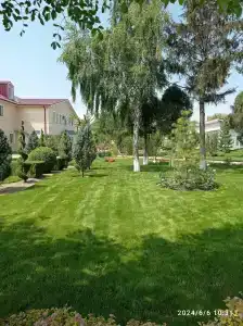Великовечное - 48