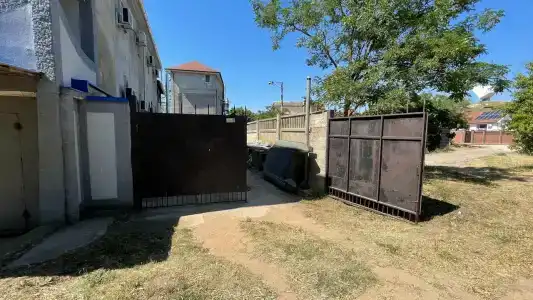 КристОля - 31