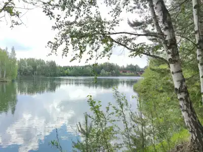Лисья нора - 85