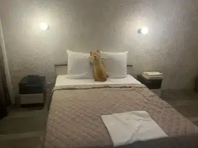 Московский - 39