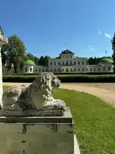 Новое Волосово - 61