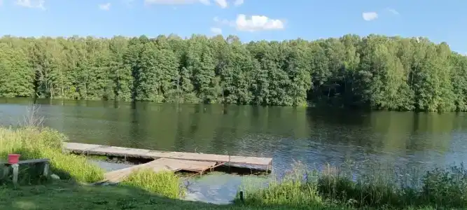 Веселый Роджер - 12