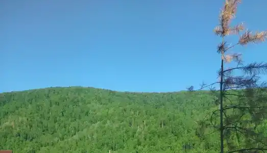 Кербалык - 5