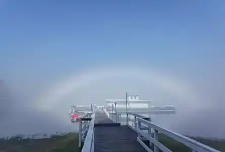 Бурдугуз - 56