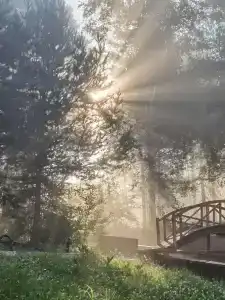 Бурдугуз - 87