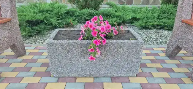 Фауст - 34