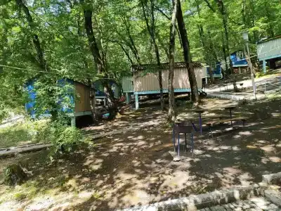 Золотое руно - 14