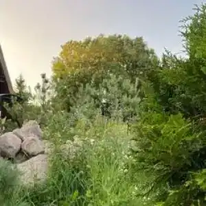 Рай в шалаше - 11