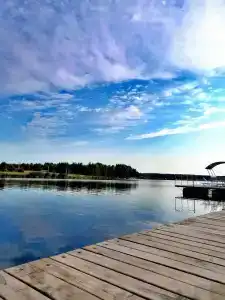 Зелёная роща - 57