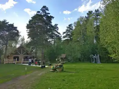 Берендеев лес - 40