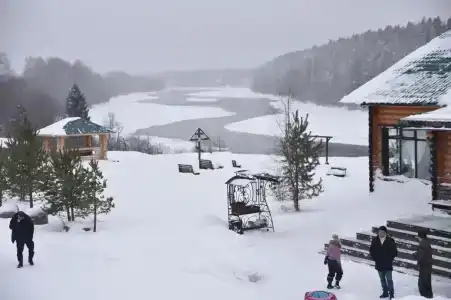 Маркомусы - 21