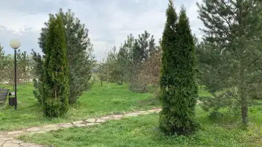 Лисья Нора - 43