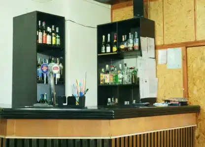 Мечта - 32
