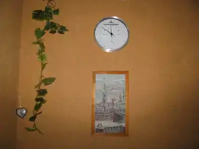 Антуриум - 21