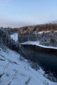 Усадьба Гирвас - 21