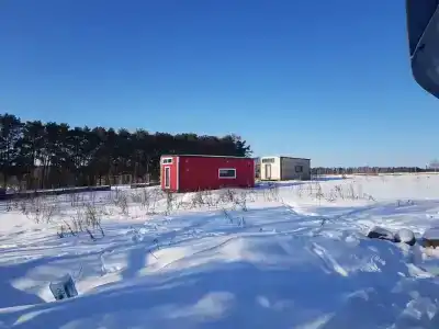 Смородина - 76