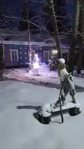 Красный Бор - 29