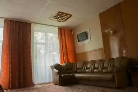 Сосны - 30