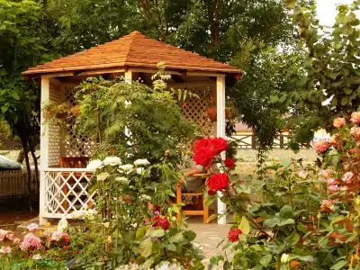 Фламинго - 15