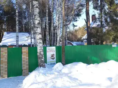 В лесу - 18