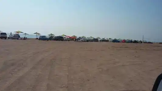Пляж Золотой берег - 6