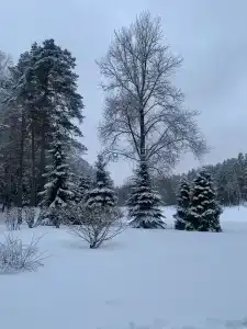 Звёздный - 35