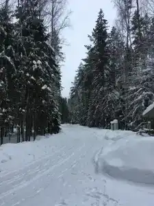 Двухкомнатный коттедж - 94