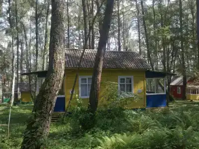 Голубой огонёк - 3