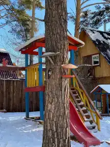 Шале Синегорье - 42