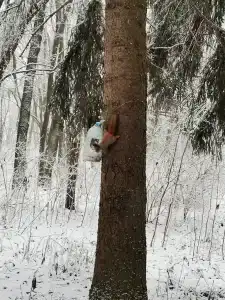 Санаторий им. Черняховского - 21