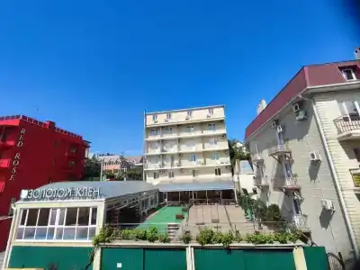 Золотой клён - 22