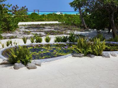 Cinnamon Velifushi Maldives - 29