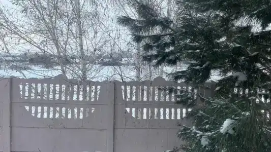 Эдельвейс - 46