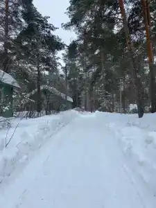 Улыбышево - 79