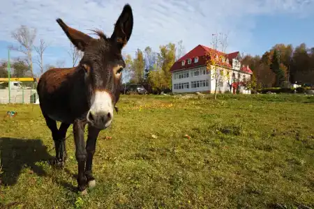 Березовка - 2