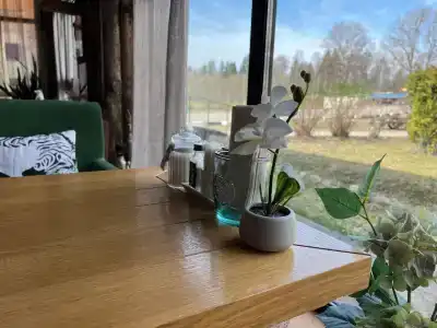 Березовка - 36