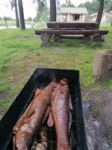 Челмужская усадьба - 38