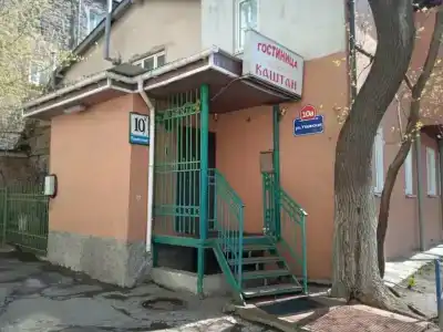 Каштан - 26