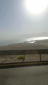Vert Dead Sea - 26