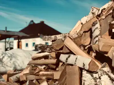 Солонь - 2