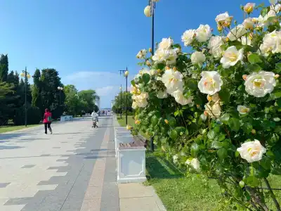 Аква Делюкс - 30