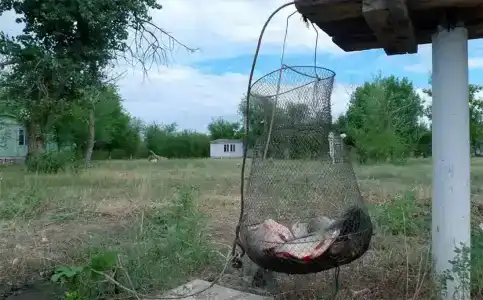 Волжская - 7