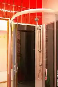 Сосны - 24