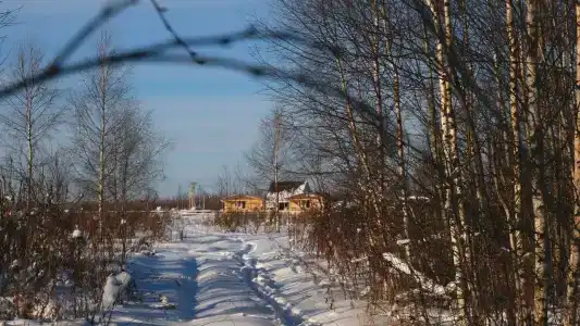 ПолеДом - 30