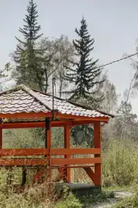 Голубые Ели - 27