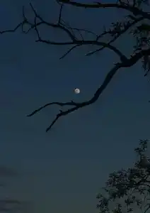 Вантастик - 37