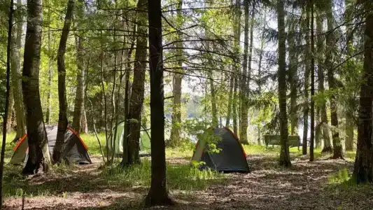 Истра Кемпинг - 0