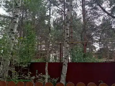Созвездие - 14
