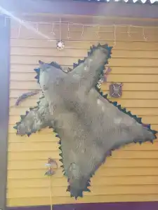 Владимирский Хуторок - 81